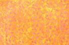Caribbean clothing boutique warehouse exports fashion Spring pattern print on balinese resort wrap
