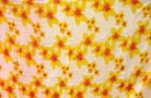 Sarong distribution company imports quality Daisy type floral pattern on beach cover up 