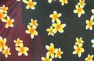 Online sarong export outlet supplies discount daisy design on indonesian skirt wrap