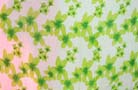 Summer fashion manufacturer exports beauty wrap clothing, floral pattern on white balinese sarong skirt     